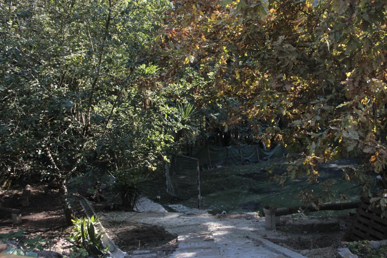 Bosque Dos Amieiros Marco de Canavezes