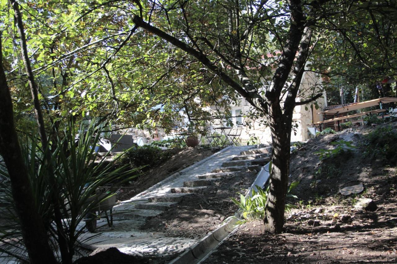 Bosque Dos Amieiros Bauernhof Marco de Canavezes